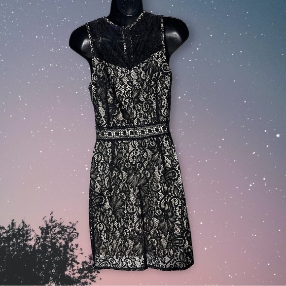 disney's Beauty and the Beast Juniors' Lace Shift Dress Size Medium - Picture 5 of 9